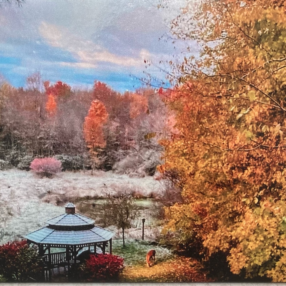 . Beautiful fall photo 11x14